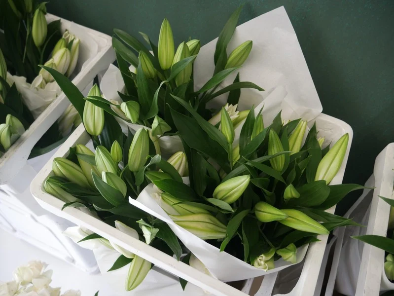 Fresh Harvest Lilies in Crate